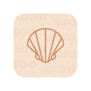 An elegant seashell logo
