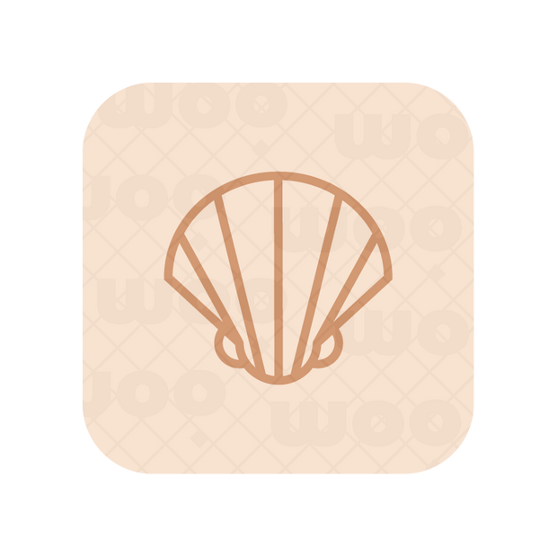 An elegant seashell logo