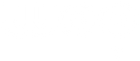 WOO Branding